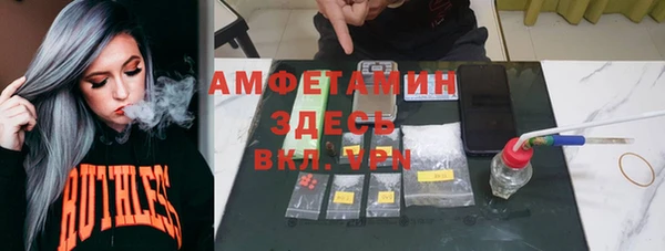 ГАЛЛЮЦИНОГЕННЫЕ ГРИБЫ Вязники