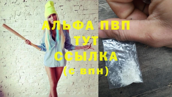 ГАЛЛЮЦИНОГЕННЫЕ ГРИБЫ Вязники