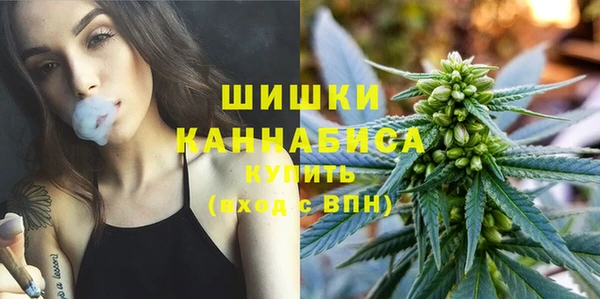 скорость Вяземский