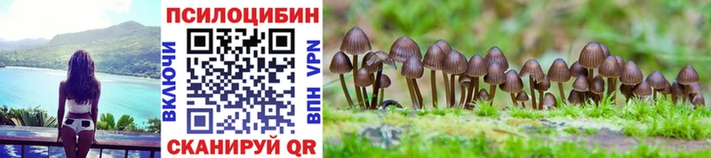 Псилоцибиновые грибы MAGIC MUSHROOMS  Городище 